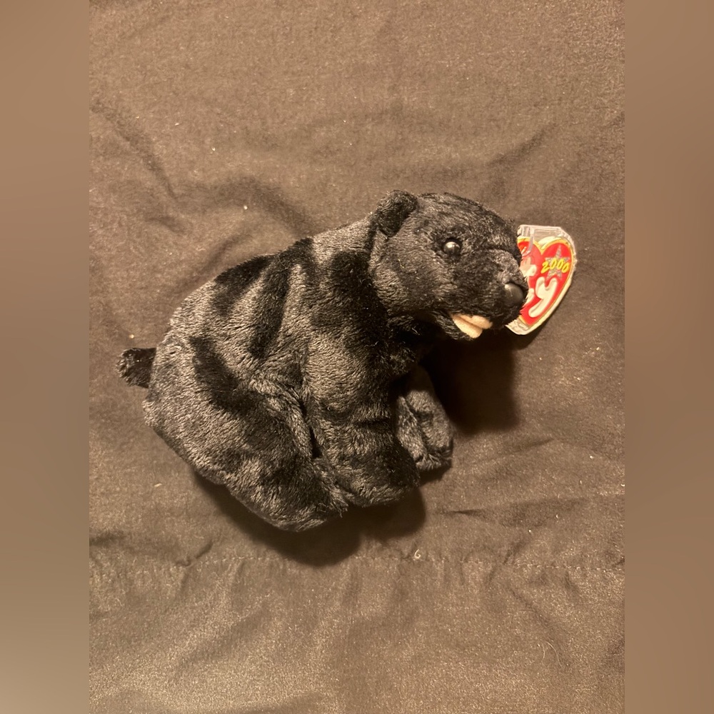 Ty Beanie Baby Black Bear Plush - Cinders (2000)
